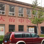 娱乐798吃瓜,揭秘网红美食背后的“吃瓜”故事