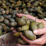 娱乐吃瓜酱找出5个错误,揭秘真相背后的乌龙风波