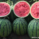 吃瓜网在线观看,热门剧集在线观看，带你畅享视听盛宴