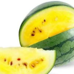 娱乐吃瓜模板图,揭秘明星们的幕后故事与精彩瞬间