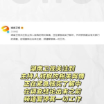 娱乐圈的那个吃瓜文件,真相与谣言的交织