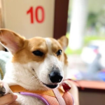 娱乐爆料吃瓜八卦图片搞笑,爆笑八卦，笑料横生！